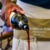 Profile picture of Osei Kwasi Sika